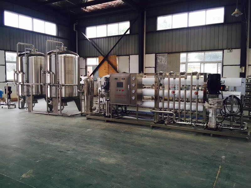 10噸雙級純凈水設備